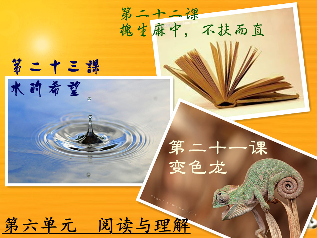 单元六 阅读与理解